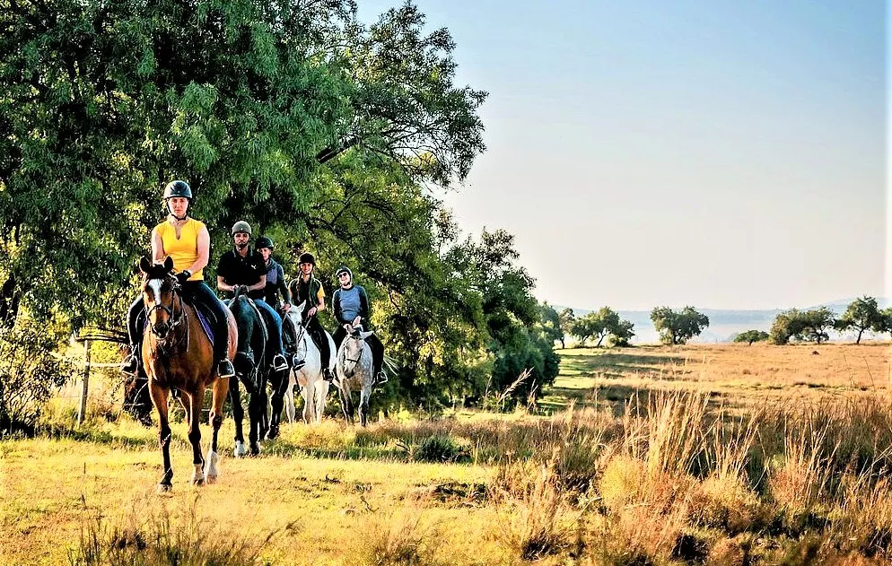 Harties Horse and Trail Safaris in South Africa, Africa | Horseback Riding - Rated 4.3