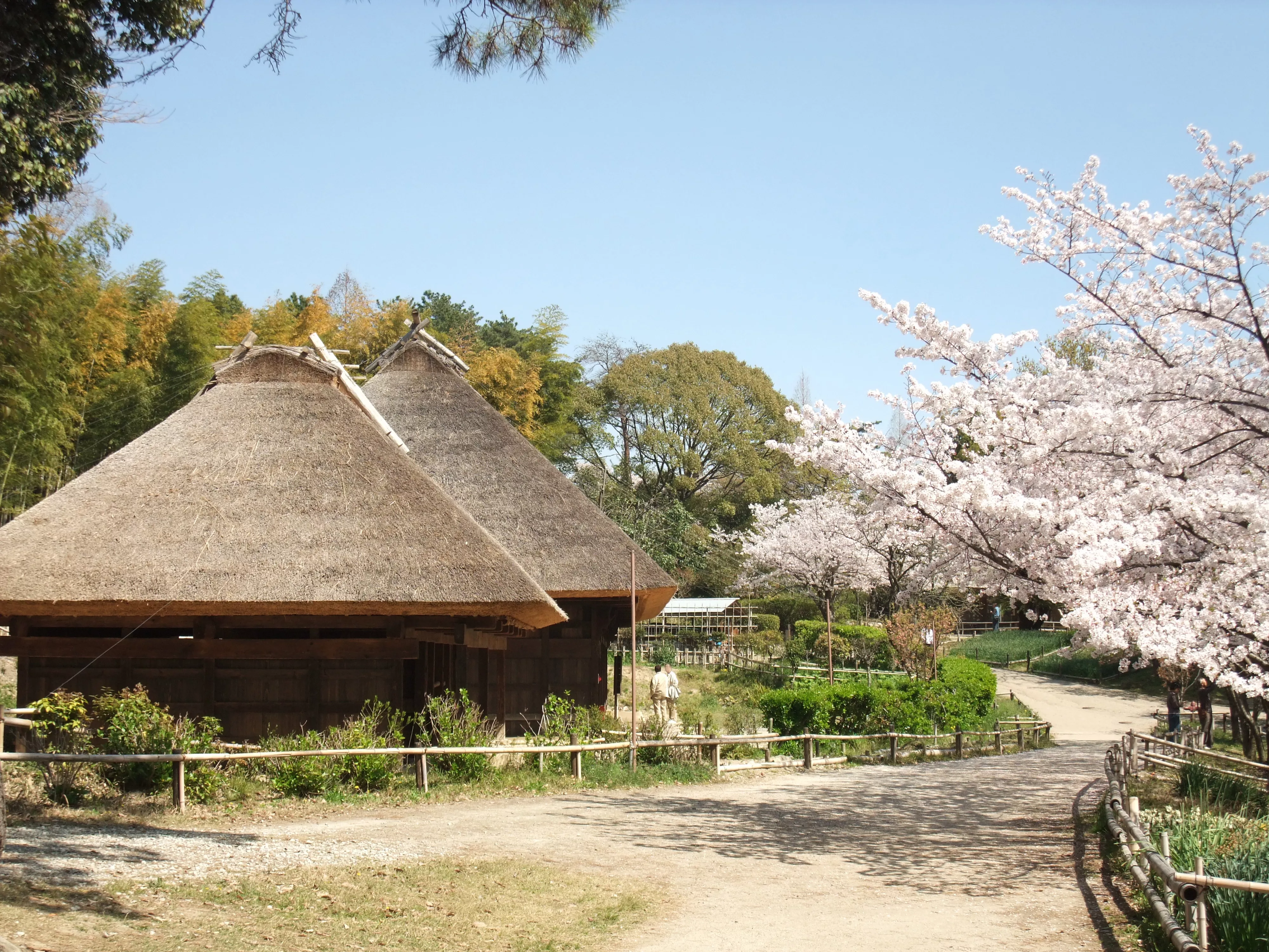 Hattori Ryokuchi Park in Japan, East Asia | Parks - Rated 3.3