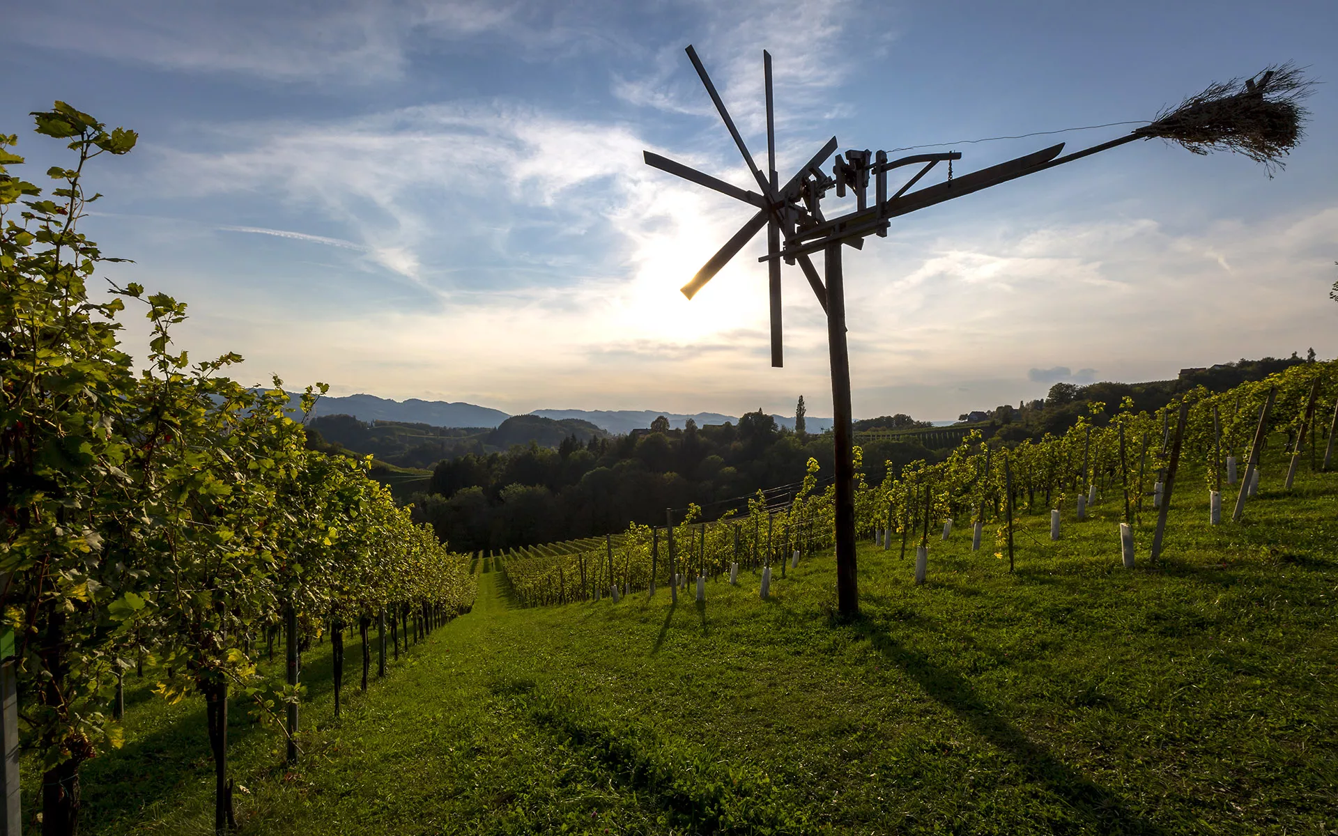 Hengl - Haselbrunner in Austria, Europe | Wineries - Rated 0.7