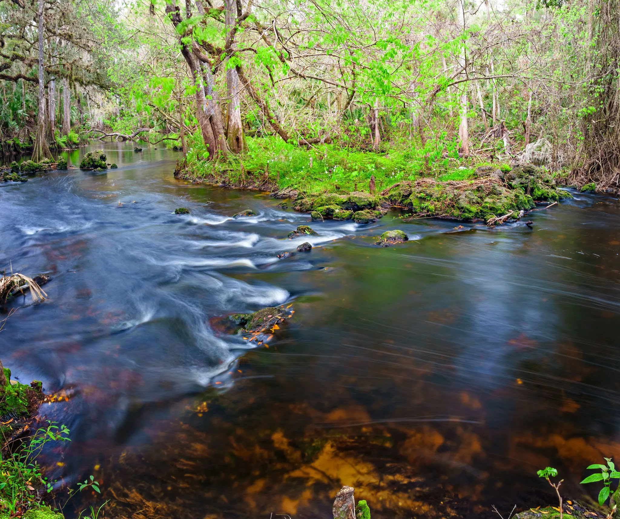 Hillsborough River State Park in USA, North America | Parks - Rated 3.7