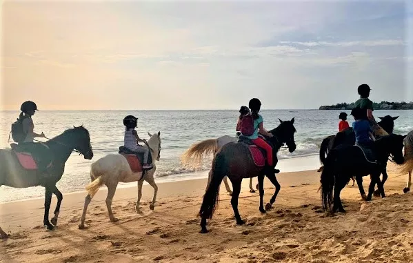 Hippodrome De Thies in Senegal, Africa | Horseback Riding - Rated 0.7