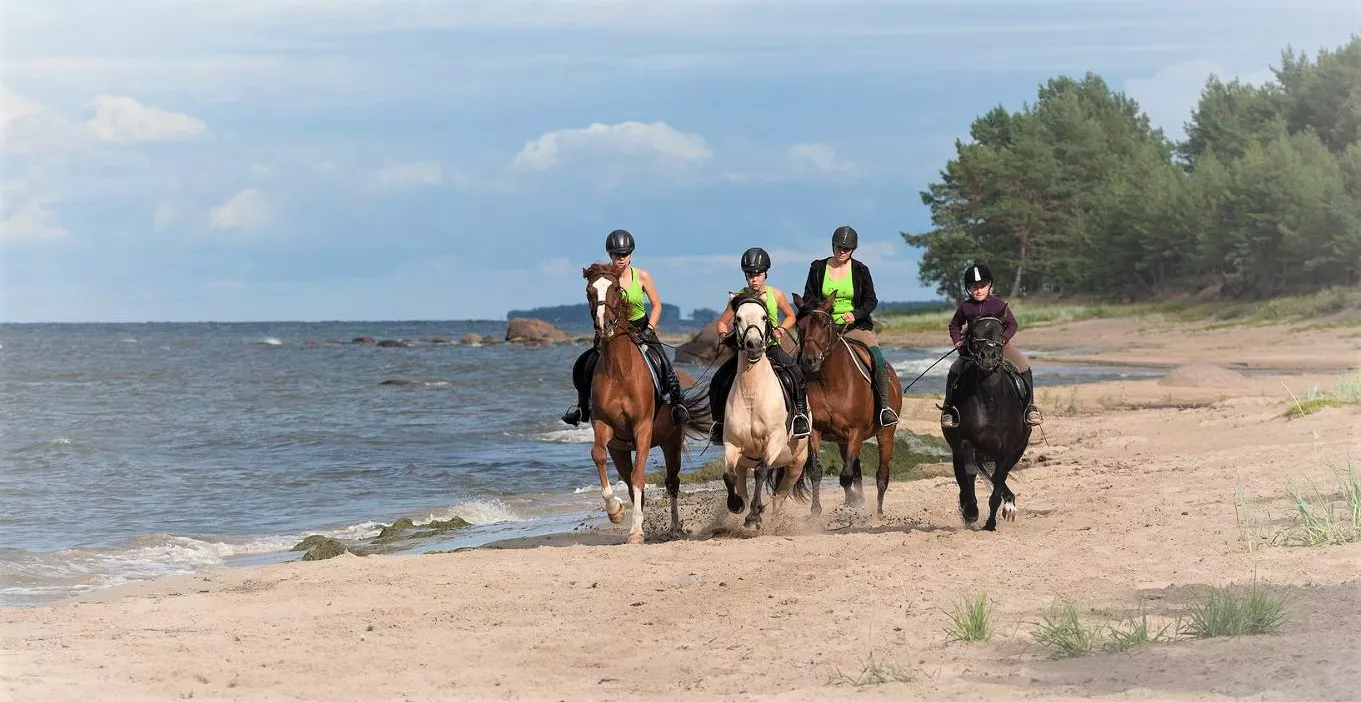 Hobuteenused OU in Estonia, Europe | Horseback Riding - Rated 1.1