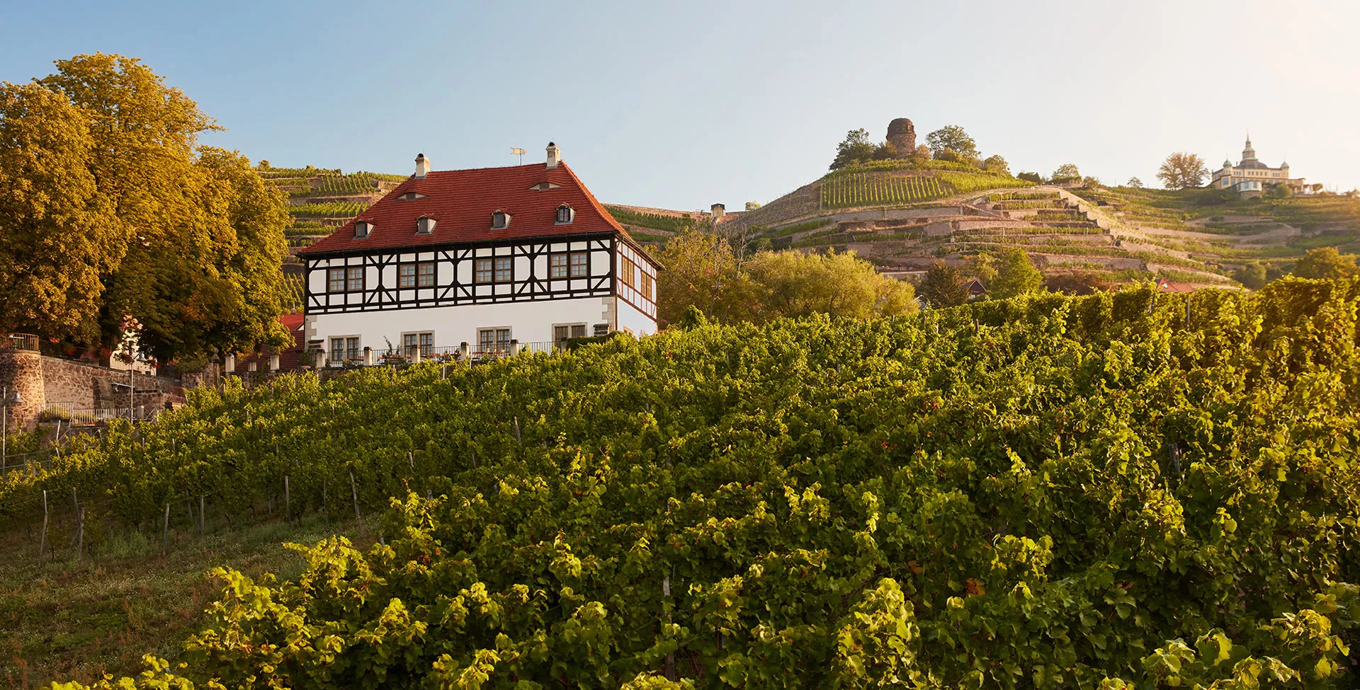 Hoflossnitz in Germany, Europe | Wineries - Rated 3.7