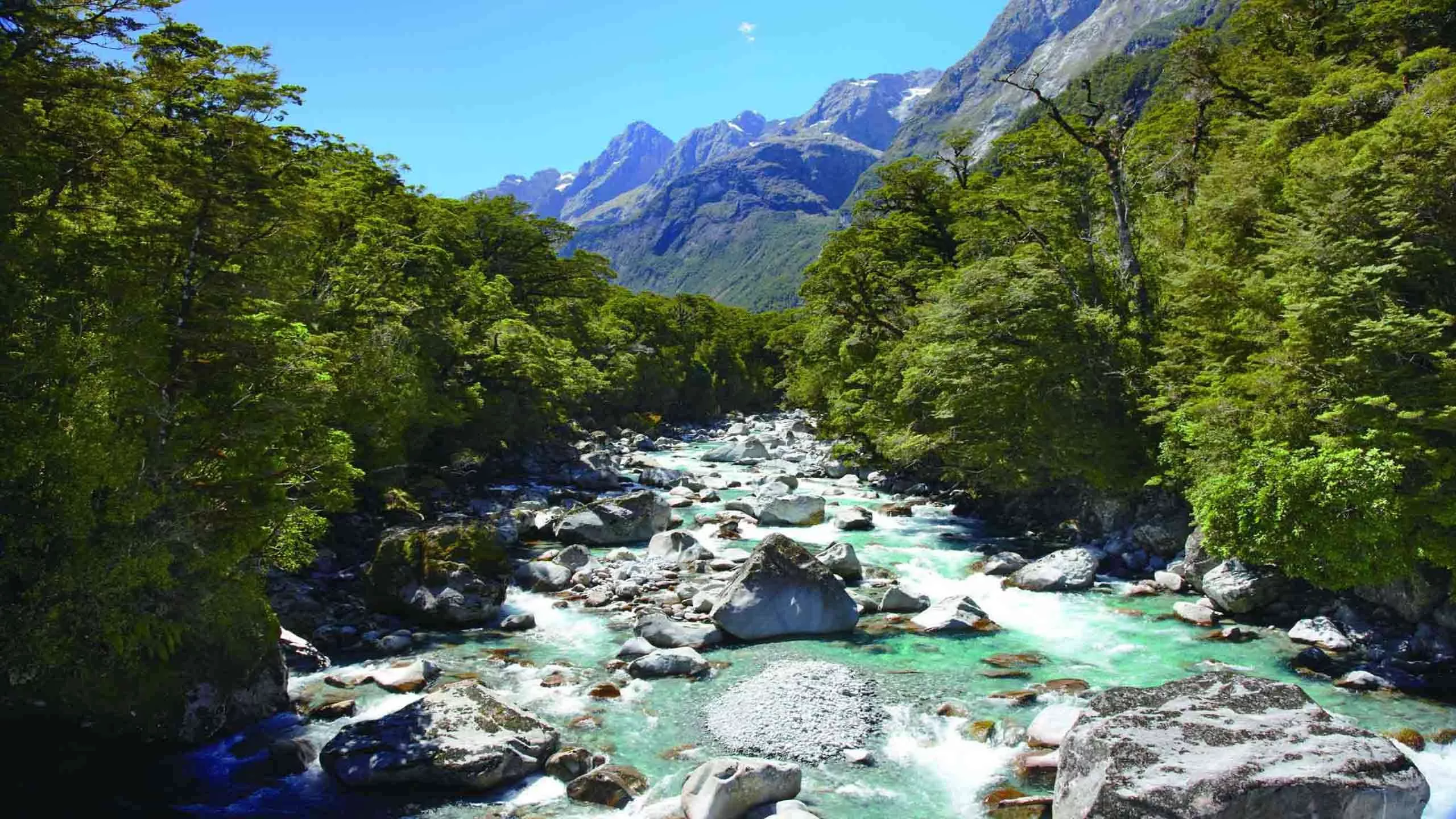 Hollyford Track in New Zealand, Australia and Oceania | Trekking & Hiking - Rated 0.9