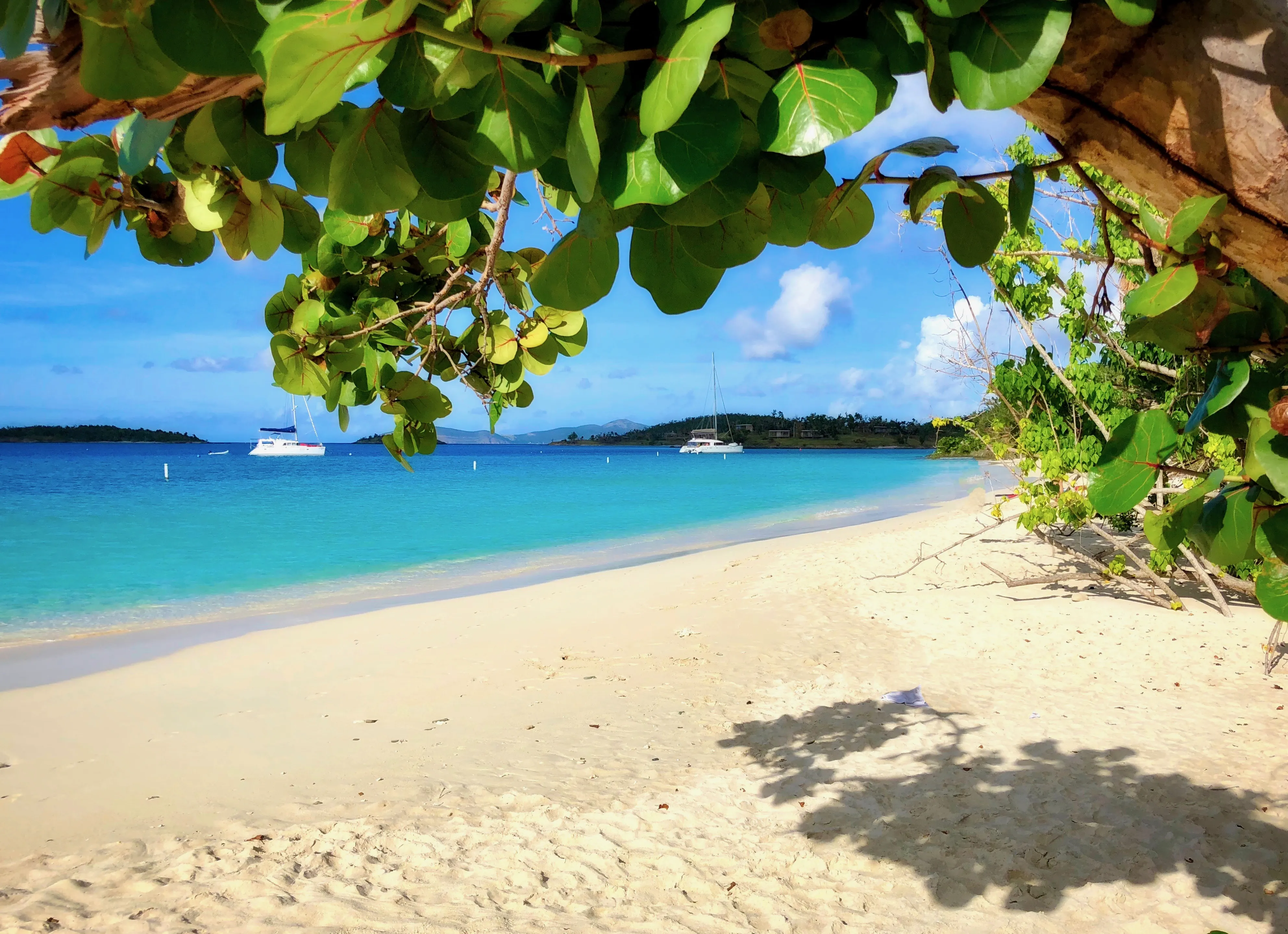 Honeymoon Beach in Palau, Australia and Oceania | Beaches - Rated 0.9