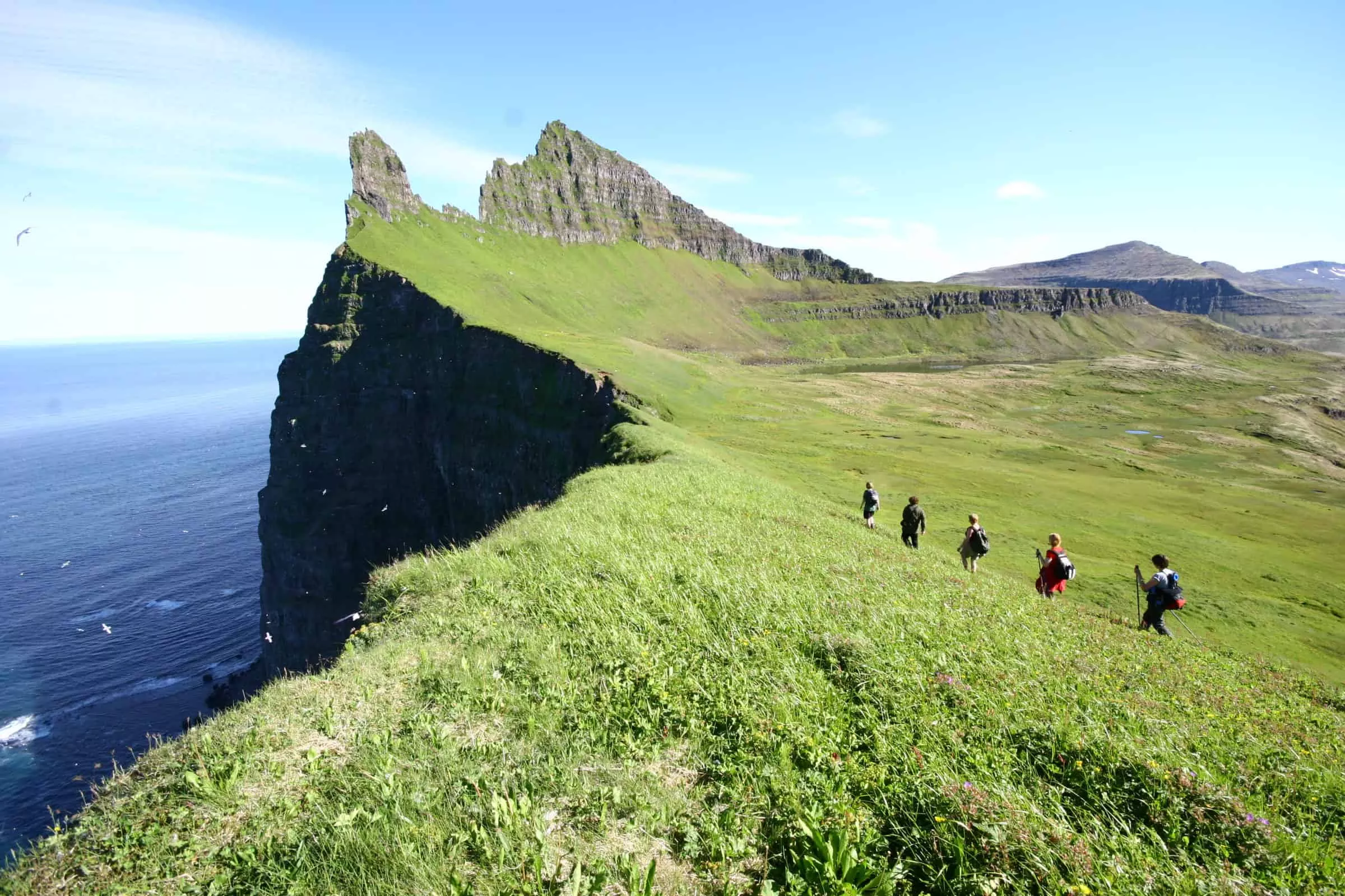 Hornstrandir in Iceland, Europe | Trekking & Hiking - Rated 0.9