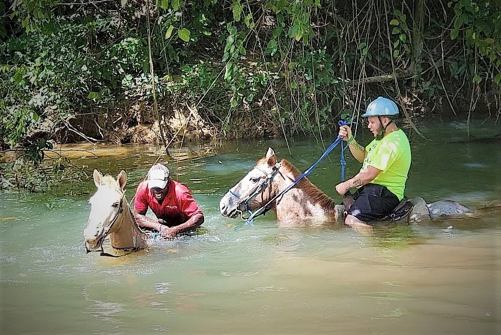 HorsePlay Punta Cana in Dominican Republic, Caribbean | Horseback Riding - Rated 1