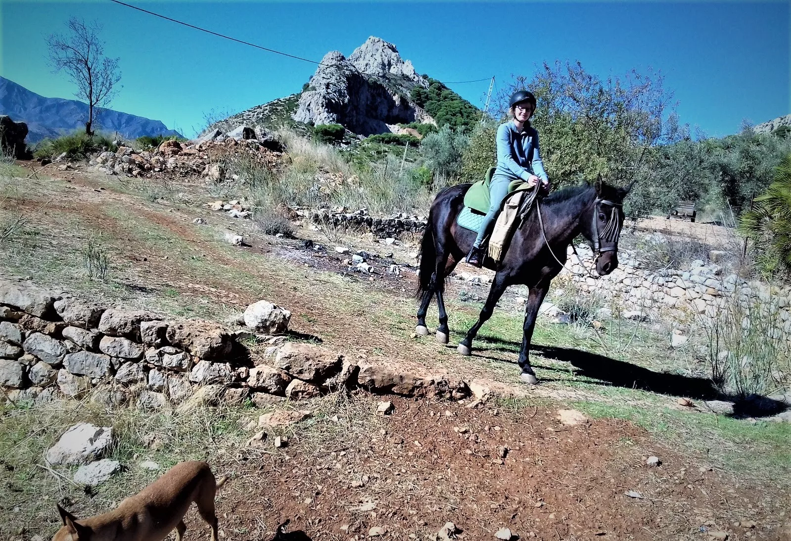 Horse Riding El Chorro in Spain, Europe | Horseback Riding - Rated 4.6