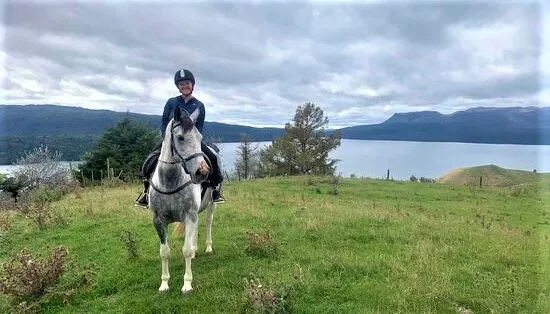 Horse Trekking Lake Okareka in New Zealand, Australia and Oceania | Horseback Riding - Rated 1