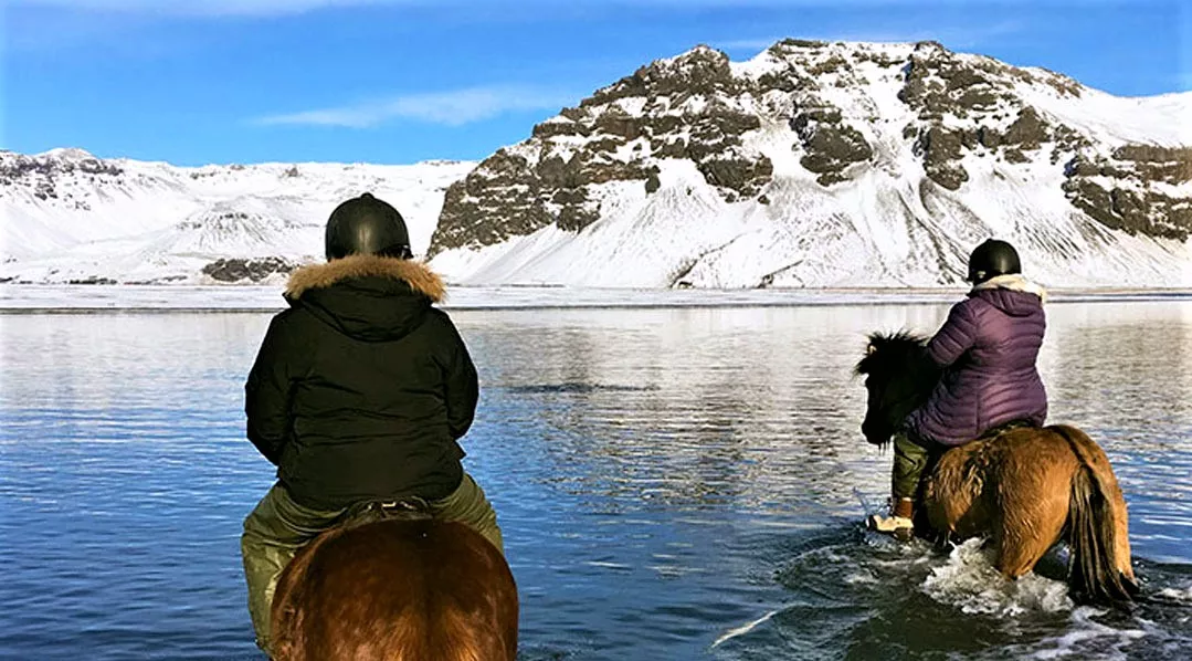 Horseback Riding Iceland in Iceland, Europe | Horseback Riding - Rated 0.9