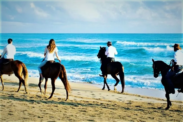 Horseriding Hurghada in Egypt, Africa | Horseback Riding - Rated 1