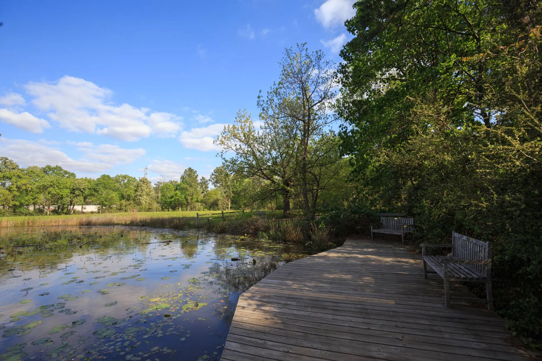 Houston Arboretum & Nature Center in USA, North America | Parks - Rated 3.7