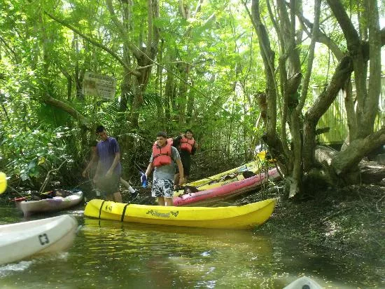 Humacao Nature Preserve Reserva in Puerto Rico, Caribbean | Nature Reserves,Kayaking & Canoeing - Rated 5.1