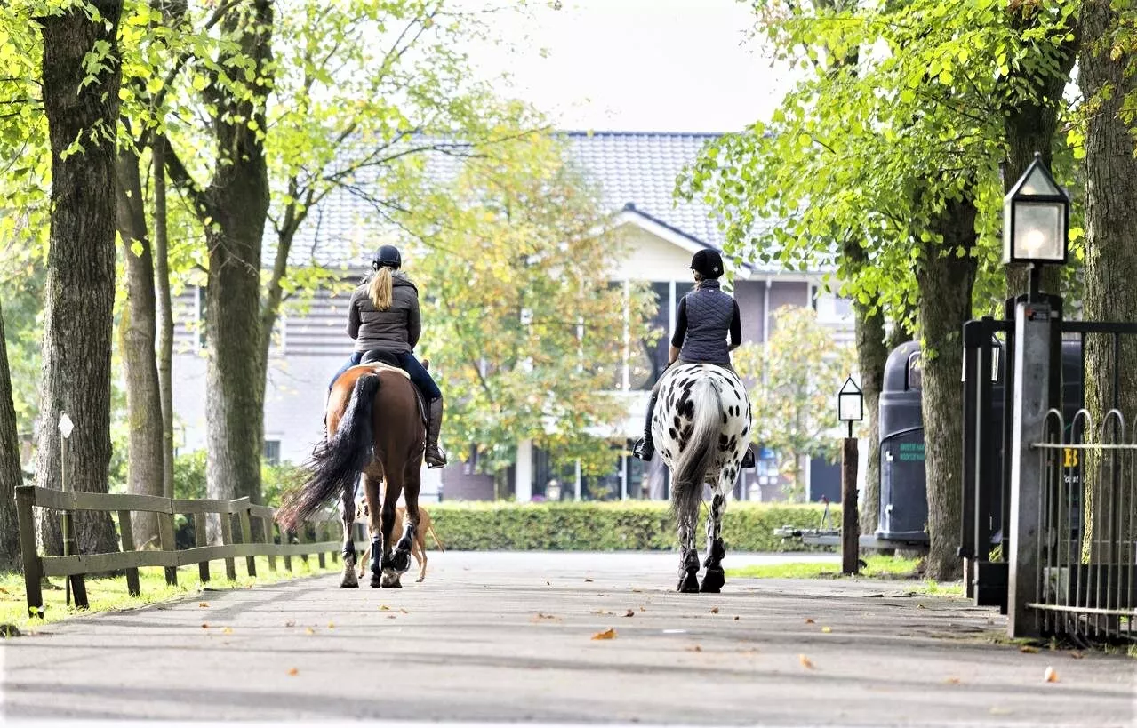 Human & Horse Academy in Netherlands, Europe | Horseback Riding - Rated 1