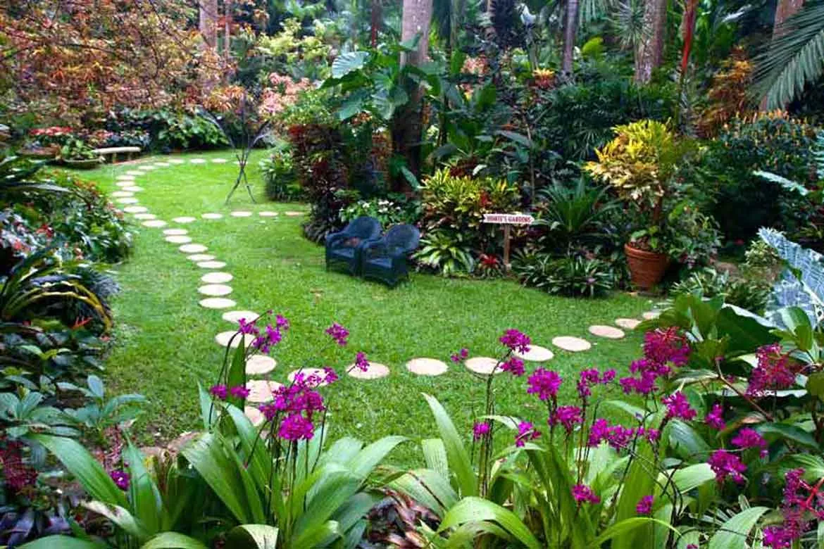 Huntes Gardens in Barbados, Caribbean | Gardens - Rated 3.9