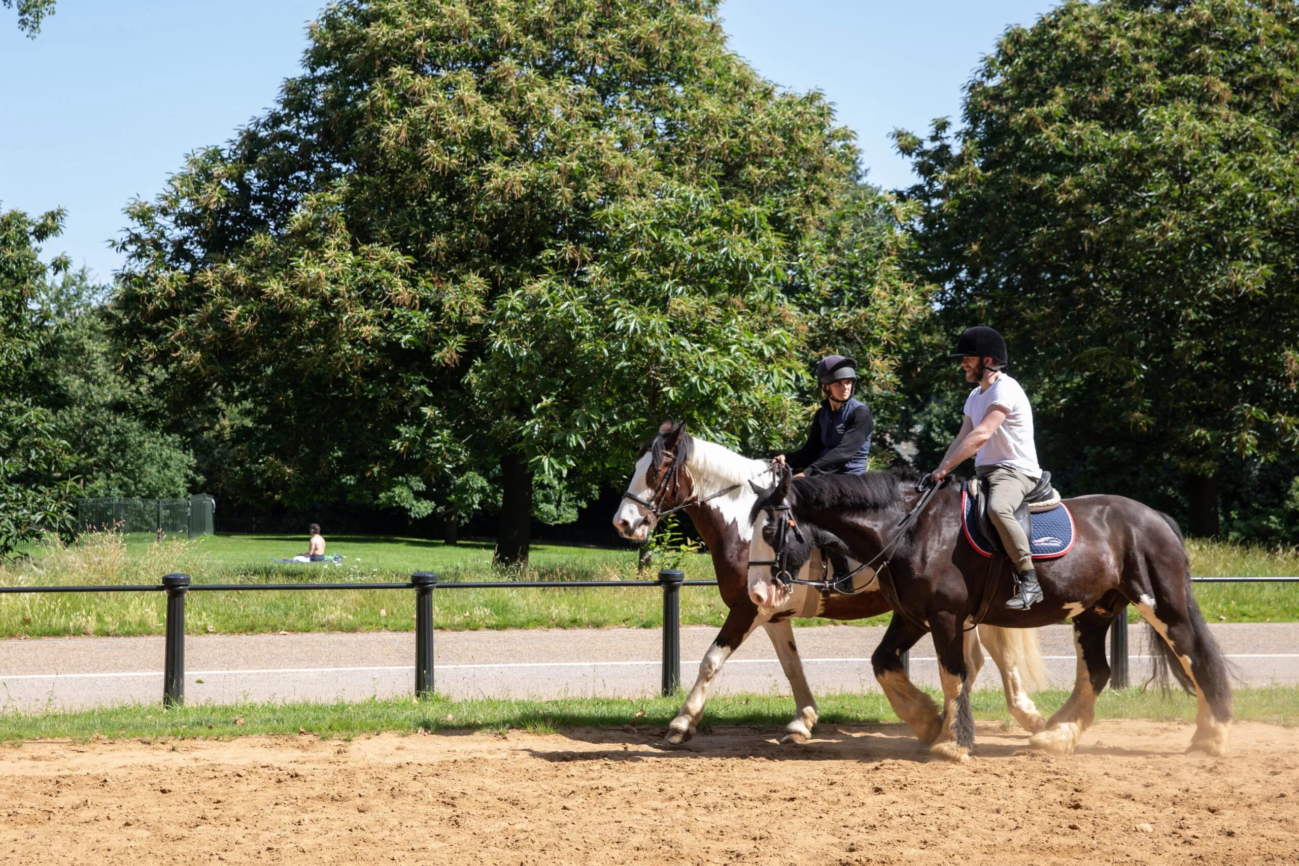 Hyde Park Stables - Horse Riding Central London in United Kingdom, Europe | Horseback Riding - Rated 0.8