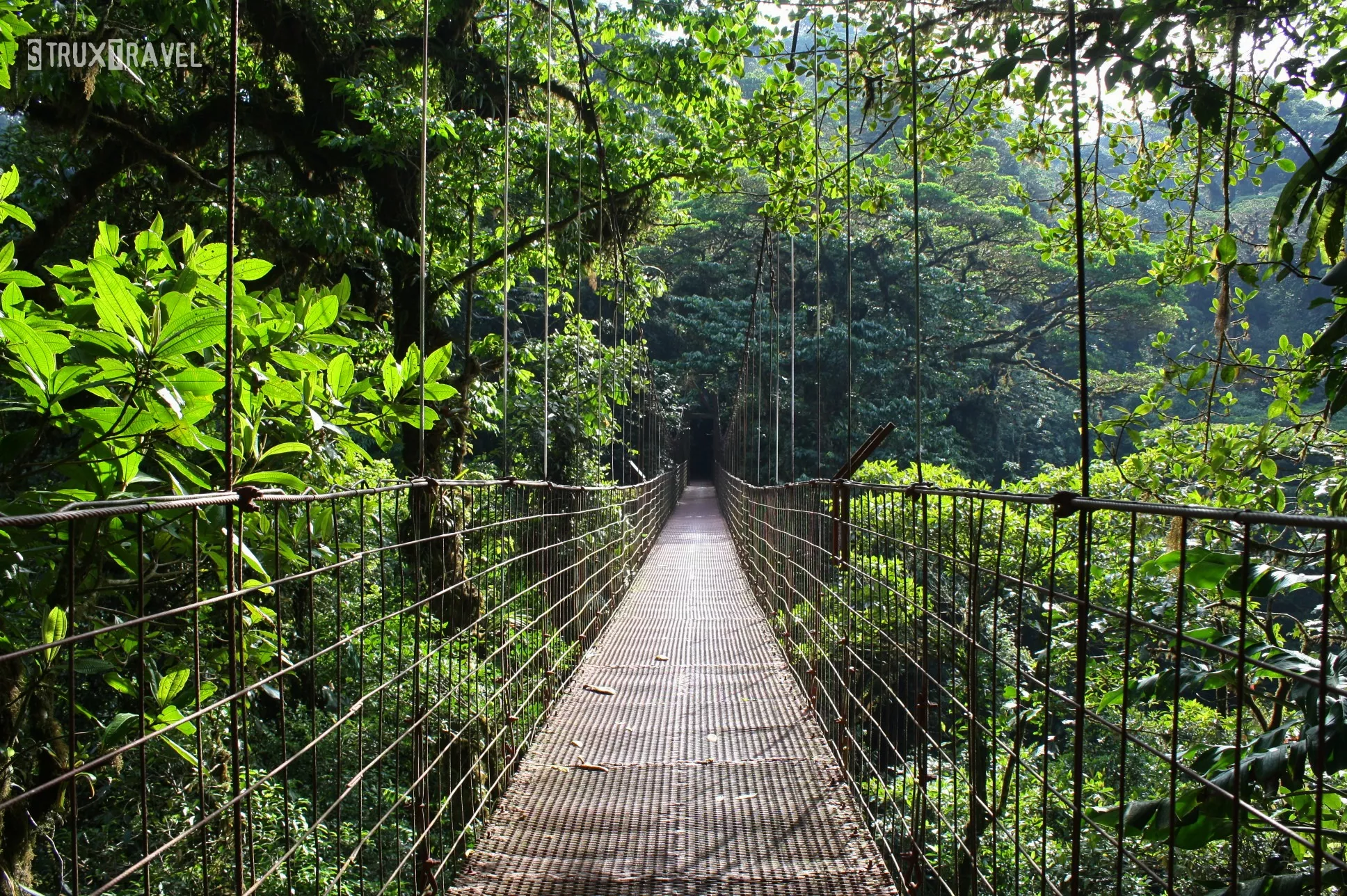 Monteverde Cloud Forest Reserve Hike in Costa Rica, North America | Trekking & Hiking - Rated 3.8
