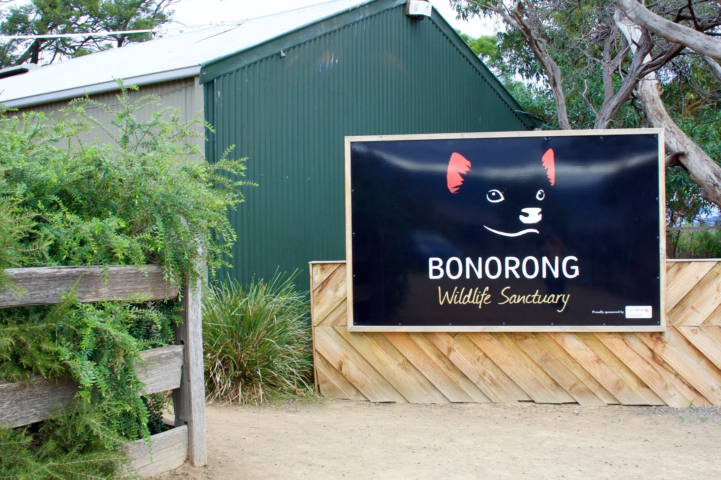 Bonorong Wildlife Sanctuary in Australia, Australia and Oceania | Zoos & Sanctuaries - Rated 7.2