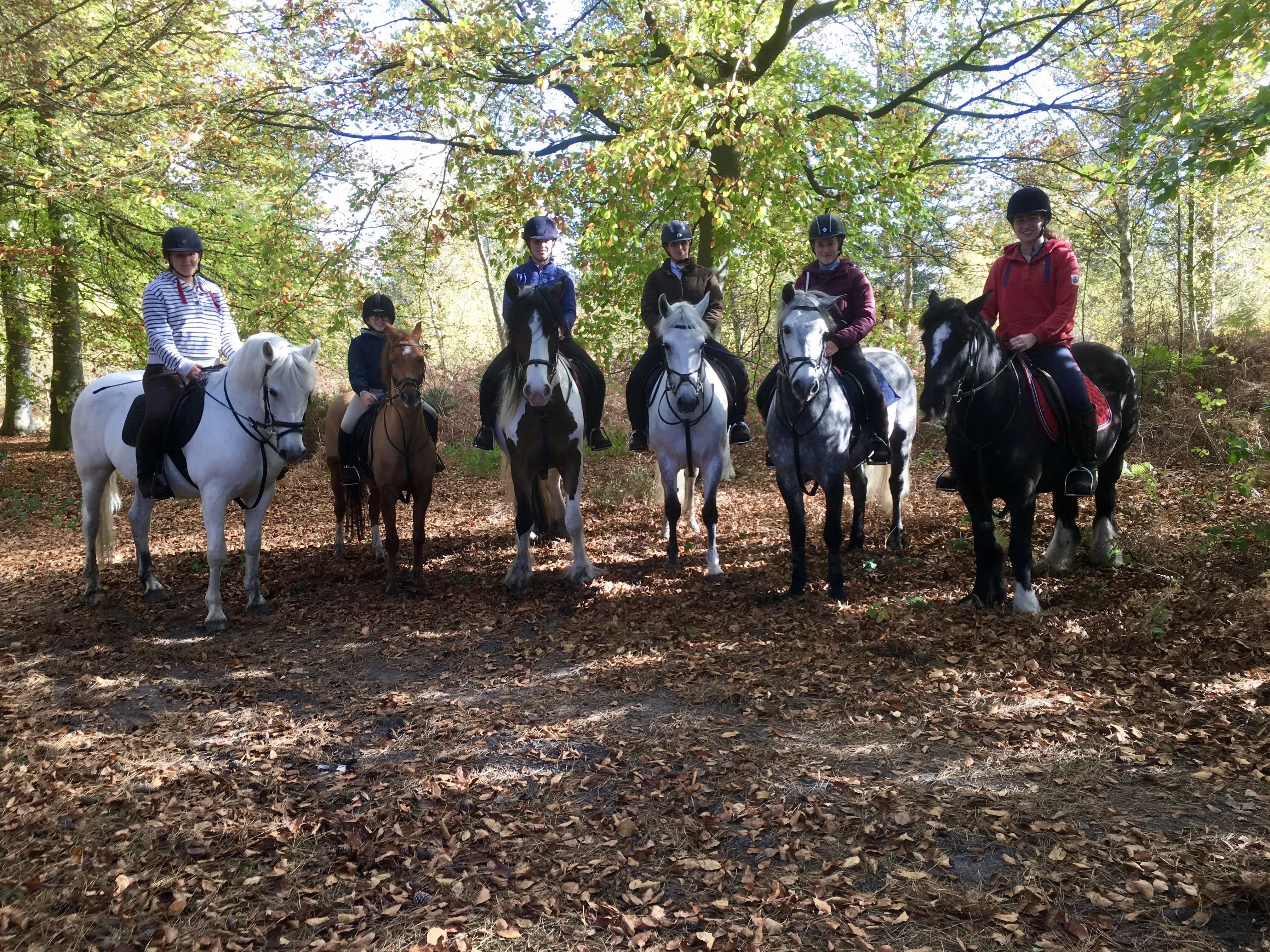 Bentley Riding School in United Kingdom, Europe | Horseback Riding - Rated 1