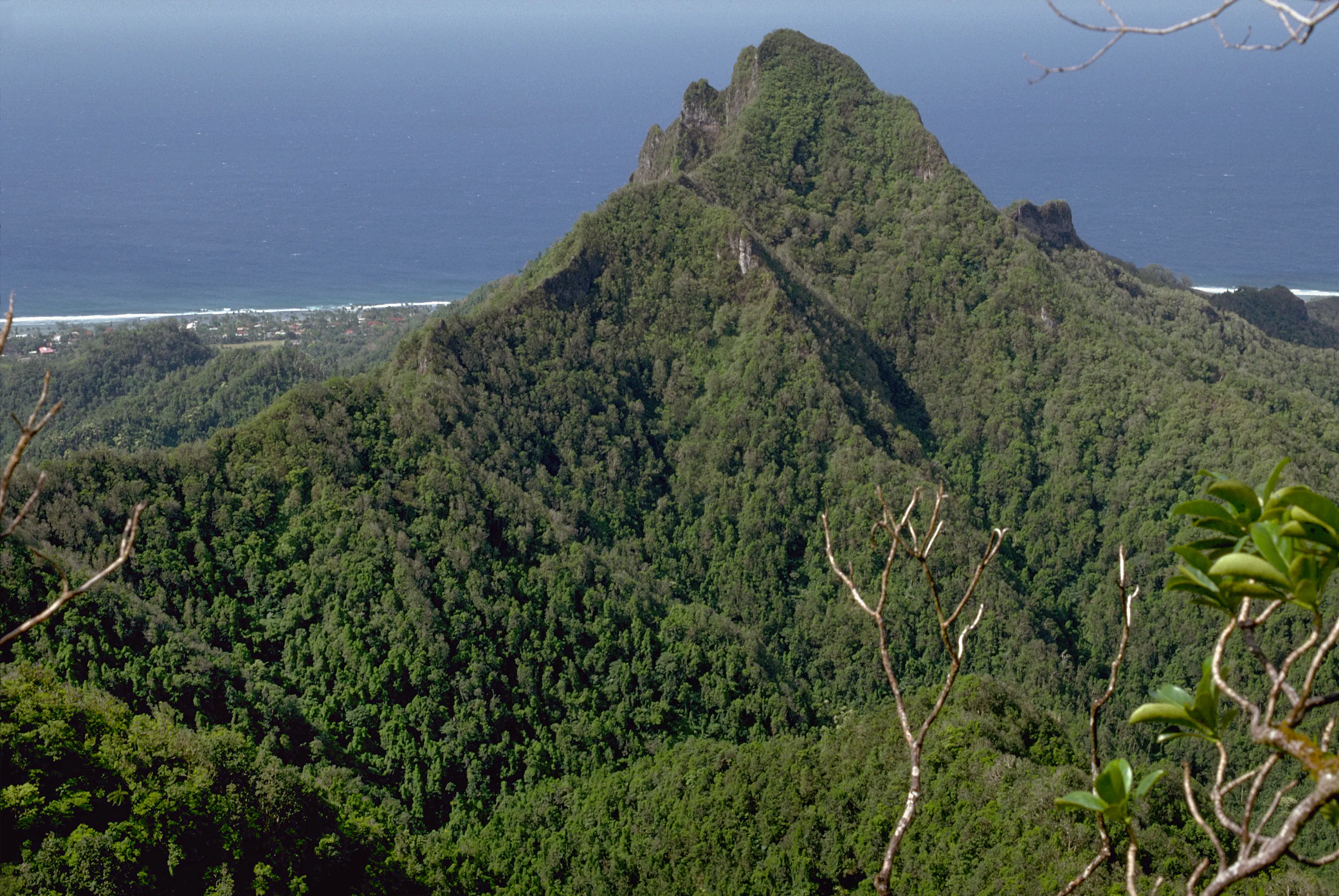 Ikurangi Summit Track in Cook Islands, Australia and Oceania | Mountains,Trekking & Hiking - Rated 0.6