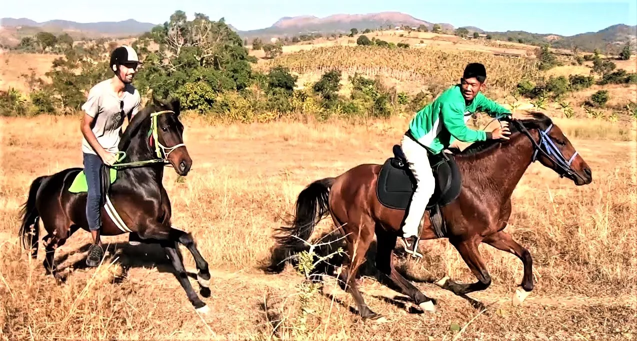 Inle Horse Club in Myanmar, Central Asia | Horseback Riding - Rated 0.7