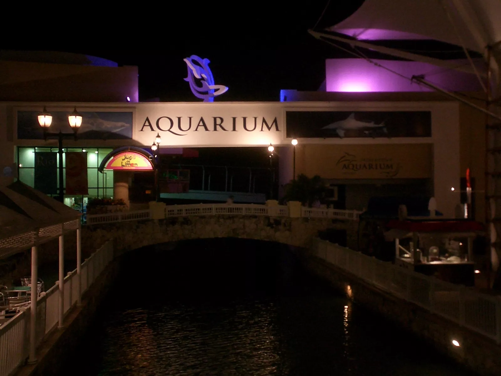 Interactive Aquarium Cancun in Mexico, North America | Aquariums & Oceanariums - Rated 3.8