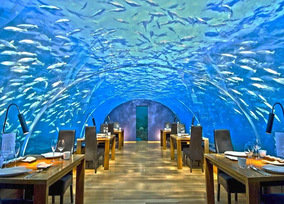 Ithaa in Maldives, Central Asia | Restaurants - Rated 3.7