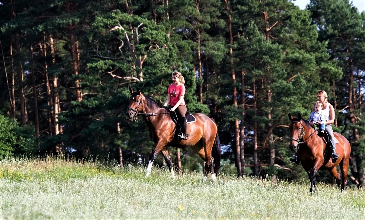 Izjade ar zirgiem in Latvia, Europe | Horseback Riding - Rated 4.3