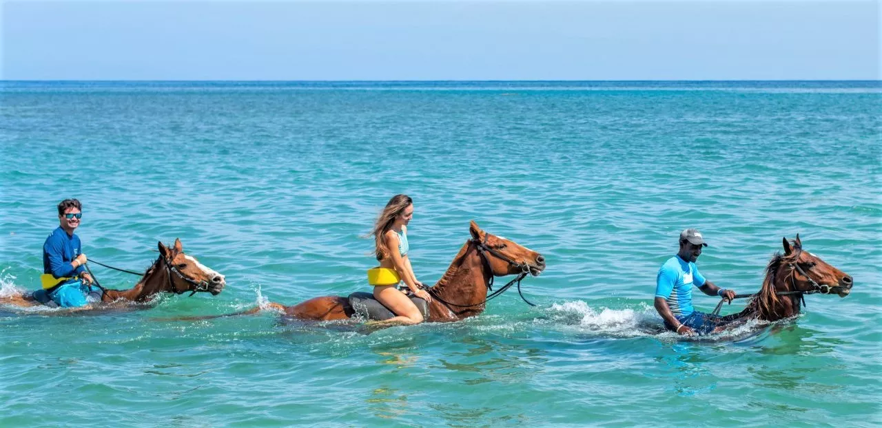 Jaital Tours in Jamaica, Caribbean | Horseback Riding - Rated 1.1