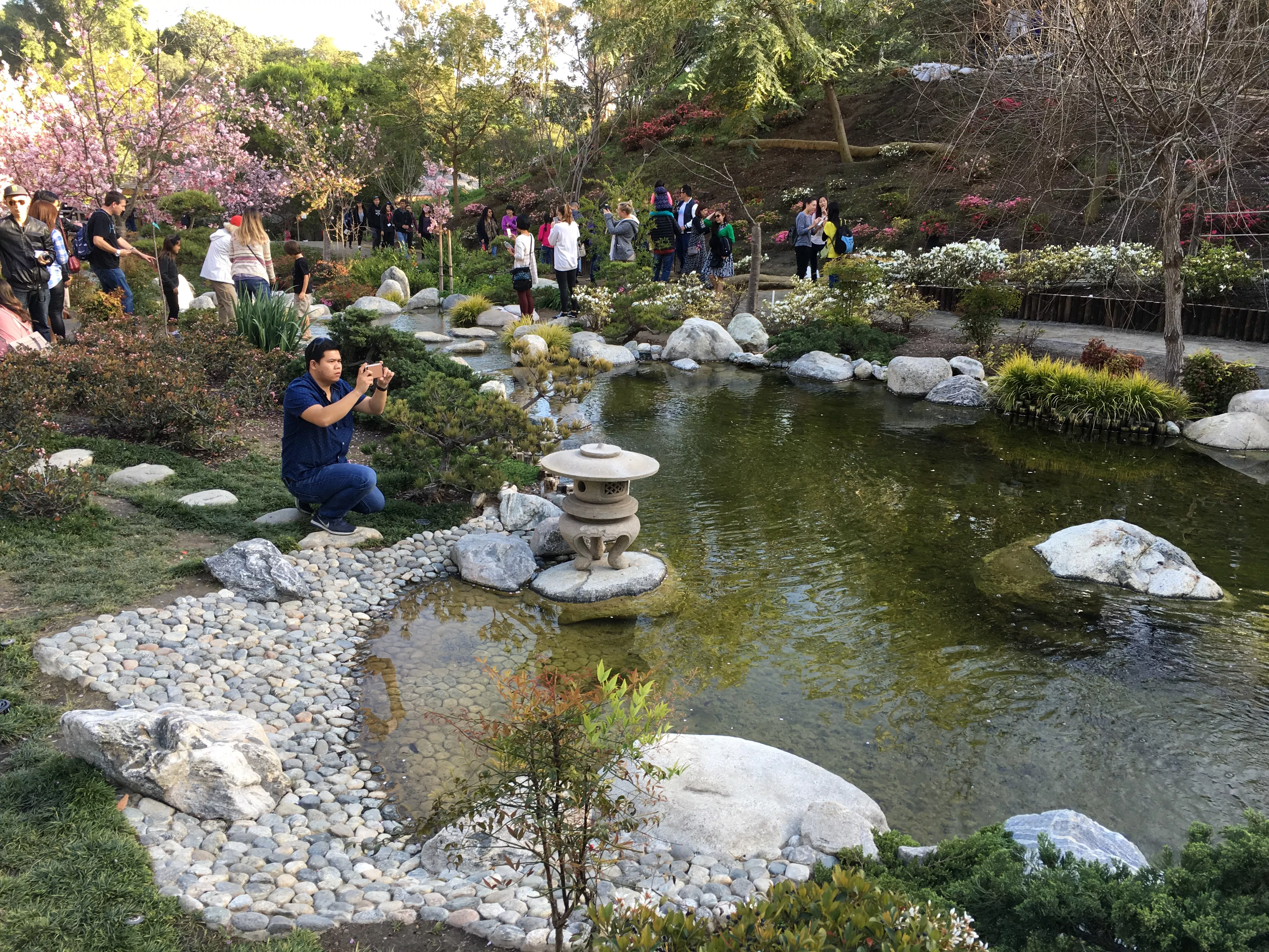 Japanese Friendship Garden in USA, North America | Gardens - Rated 3.9