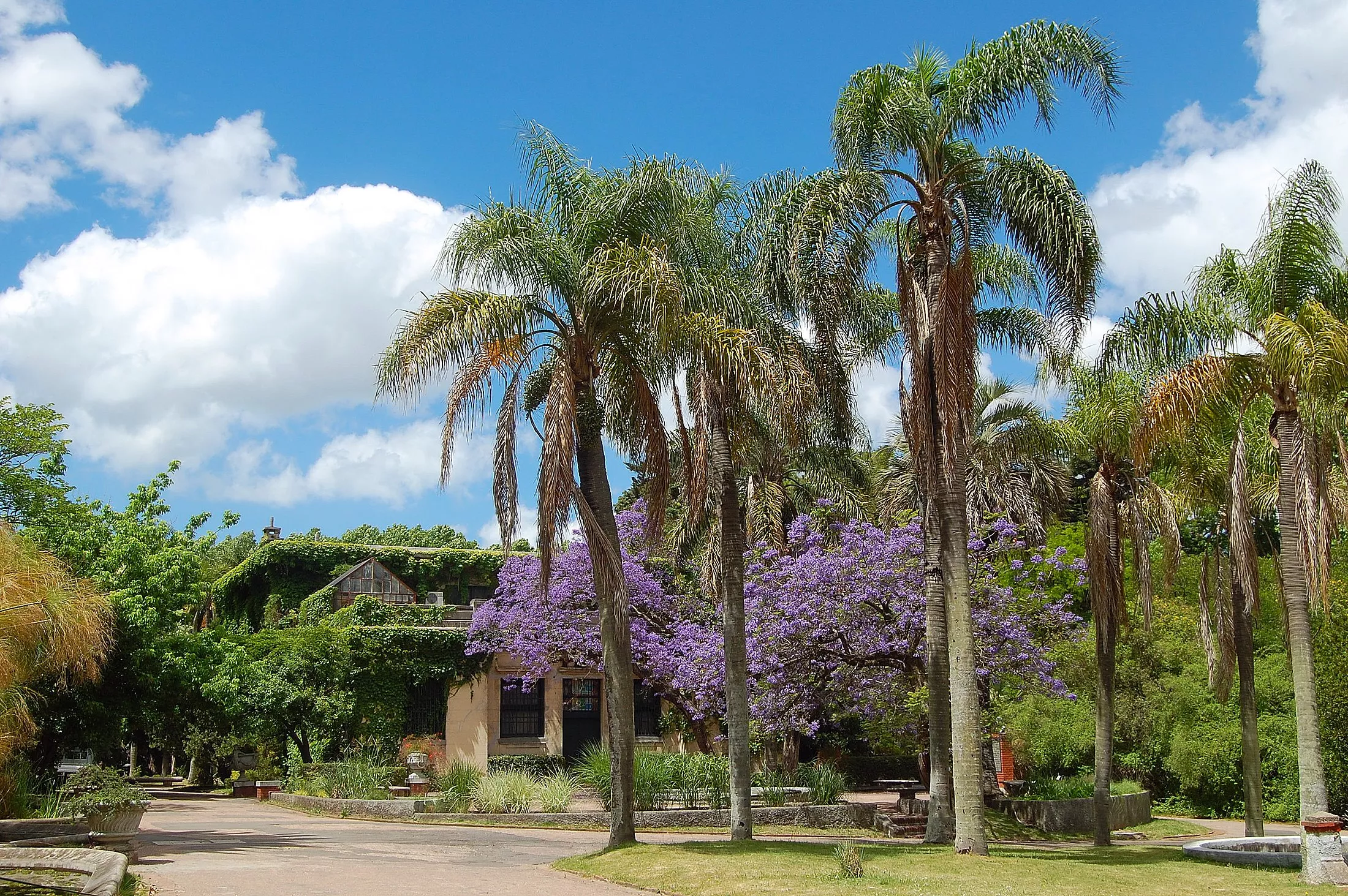 Jardin Botanico in Uruguay, South America | Botanical Gardens - Rated 4.4