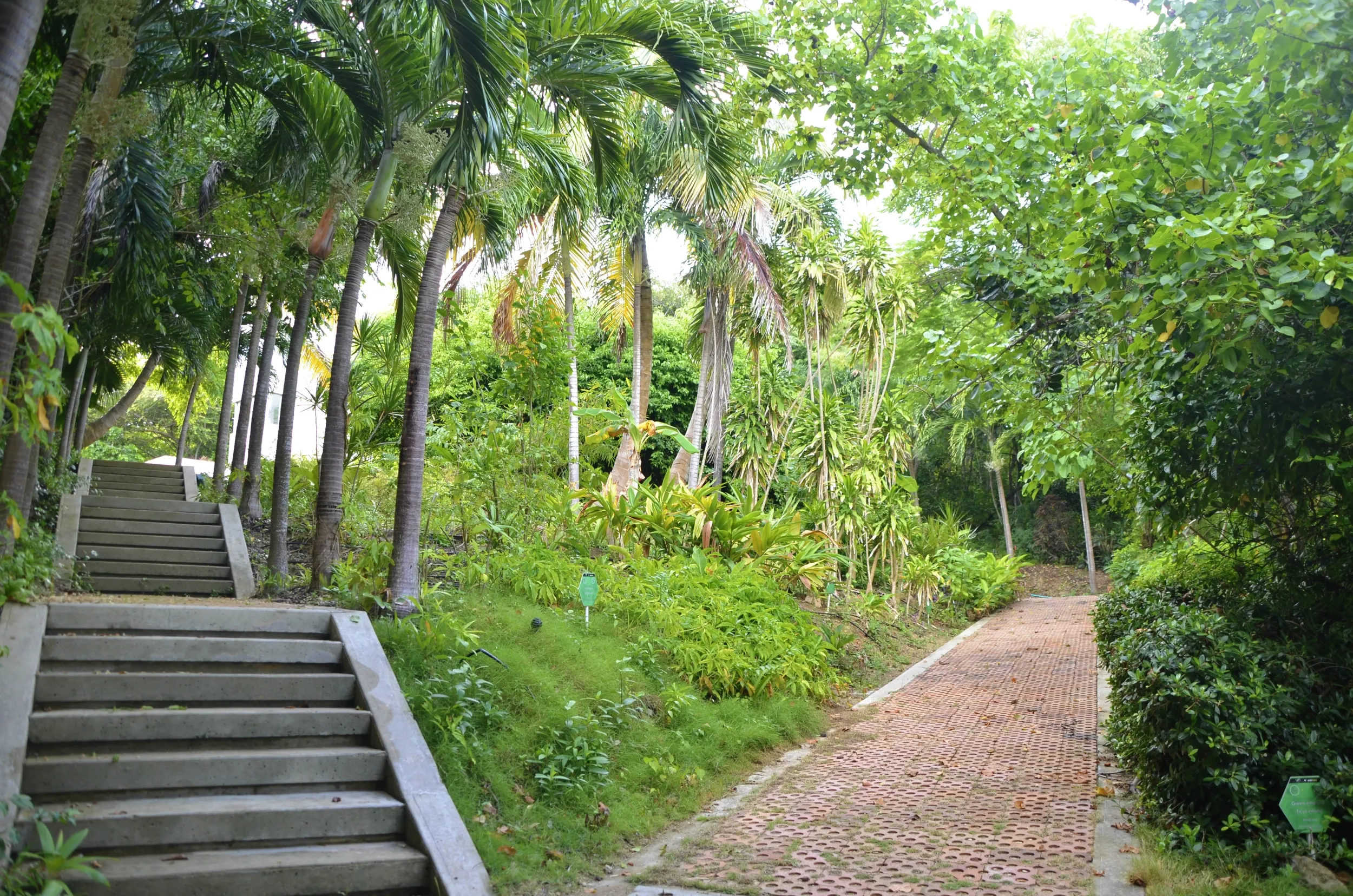 San Andres Botanical Garden in Colombia, South America | Botanical Gardens - Rated 3.8