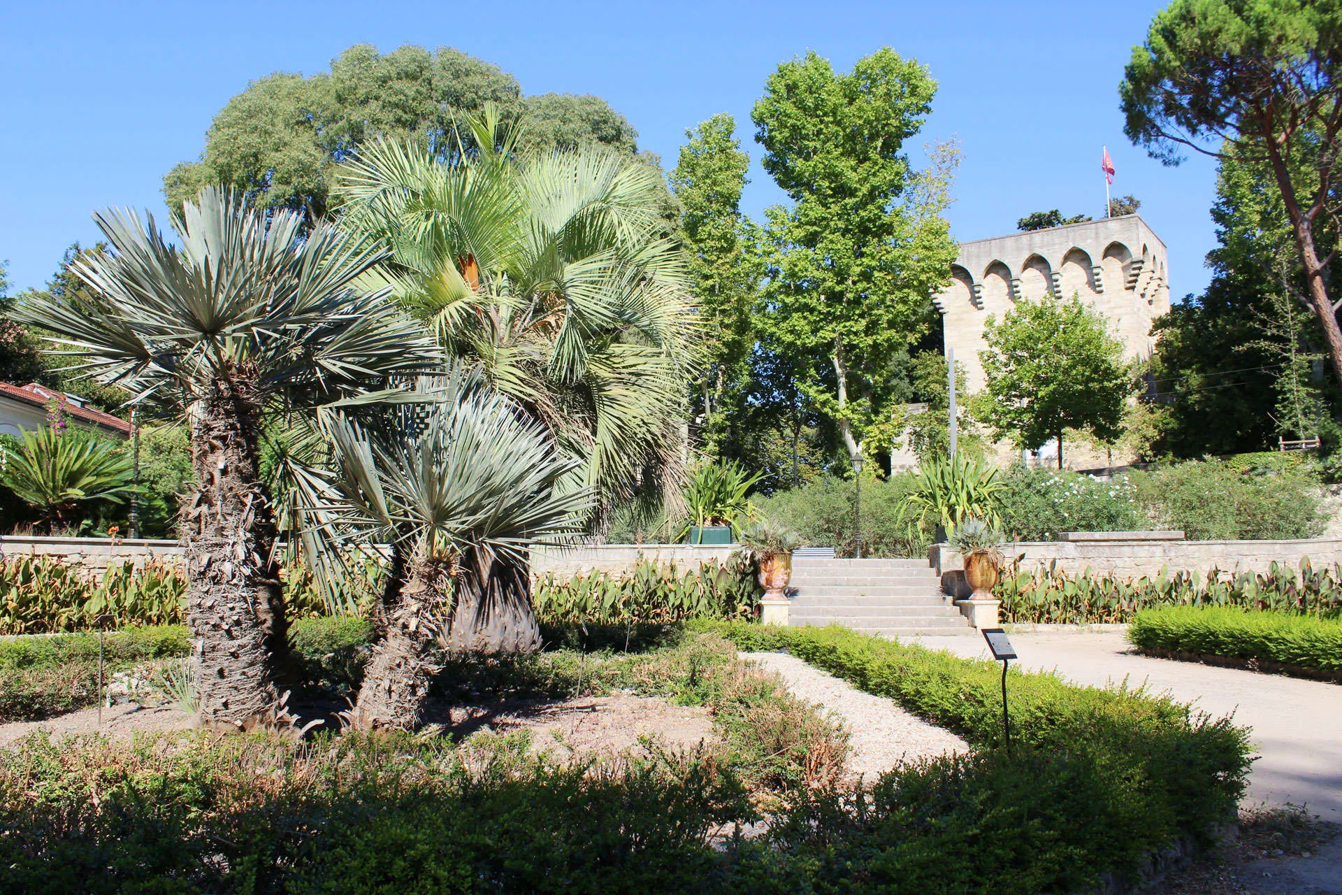 Garden of Plants in France, Europe | Botanical Gardens - Rated 4