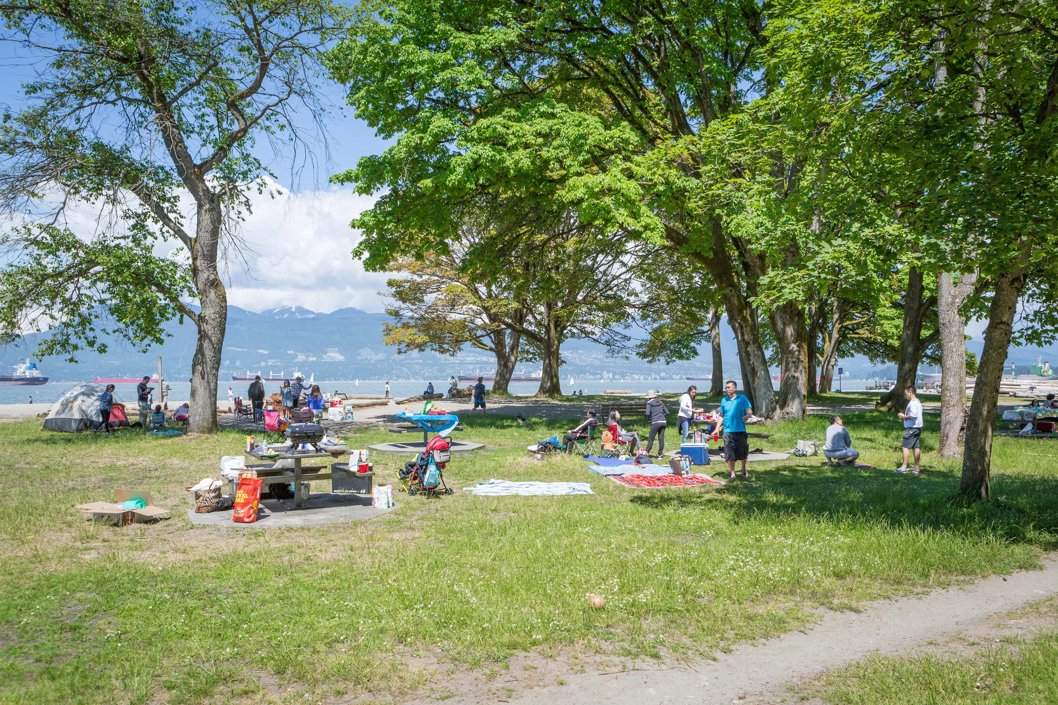 Jericho Beach Park in Canada, North America | Parks - Rated 3.8
