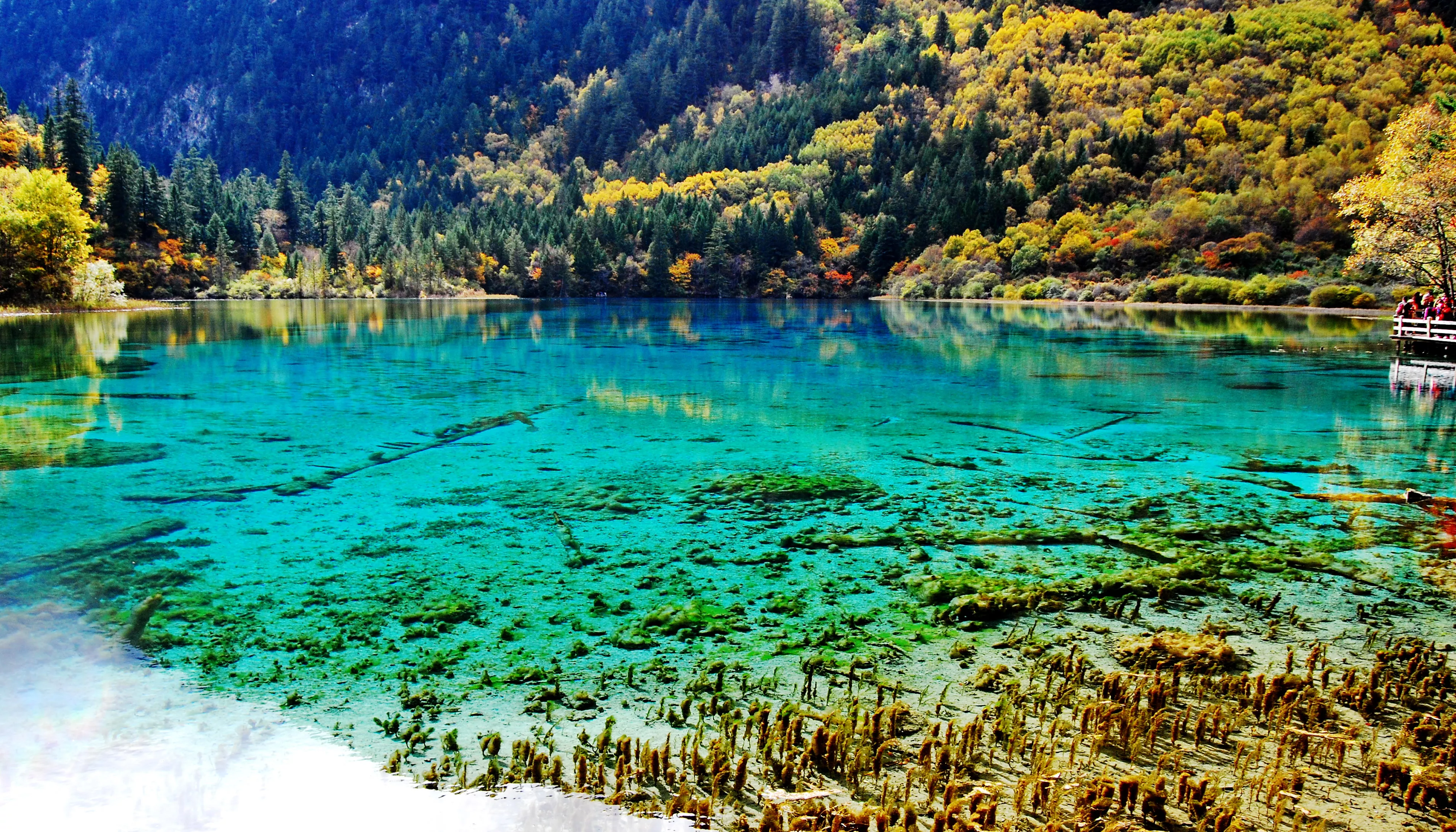 Jiuzhaigou in China, East Asia | Parks - Rated 3.7