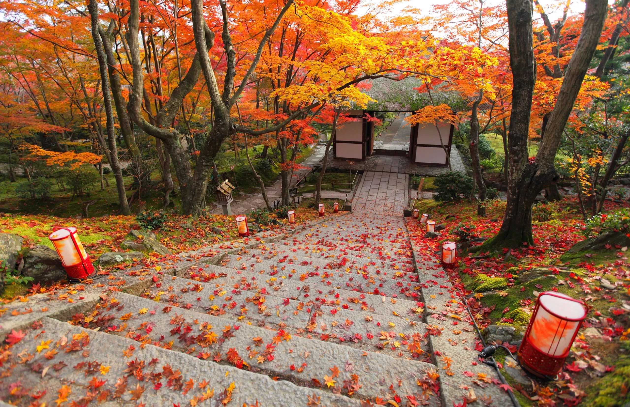 Jojakko-ji Temple in Japan, East Asia | Architecture,Gardens - Rated 3.7