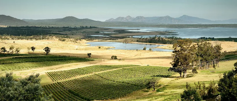 Josef Chromy Wines in Australia, Australia and Oceania | Wineries,LGBT-Friendly Places - Rated 4
