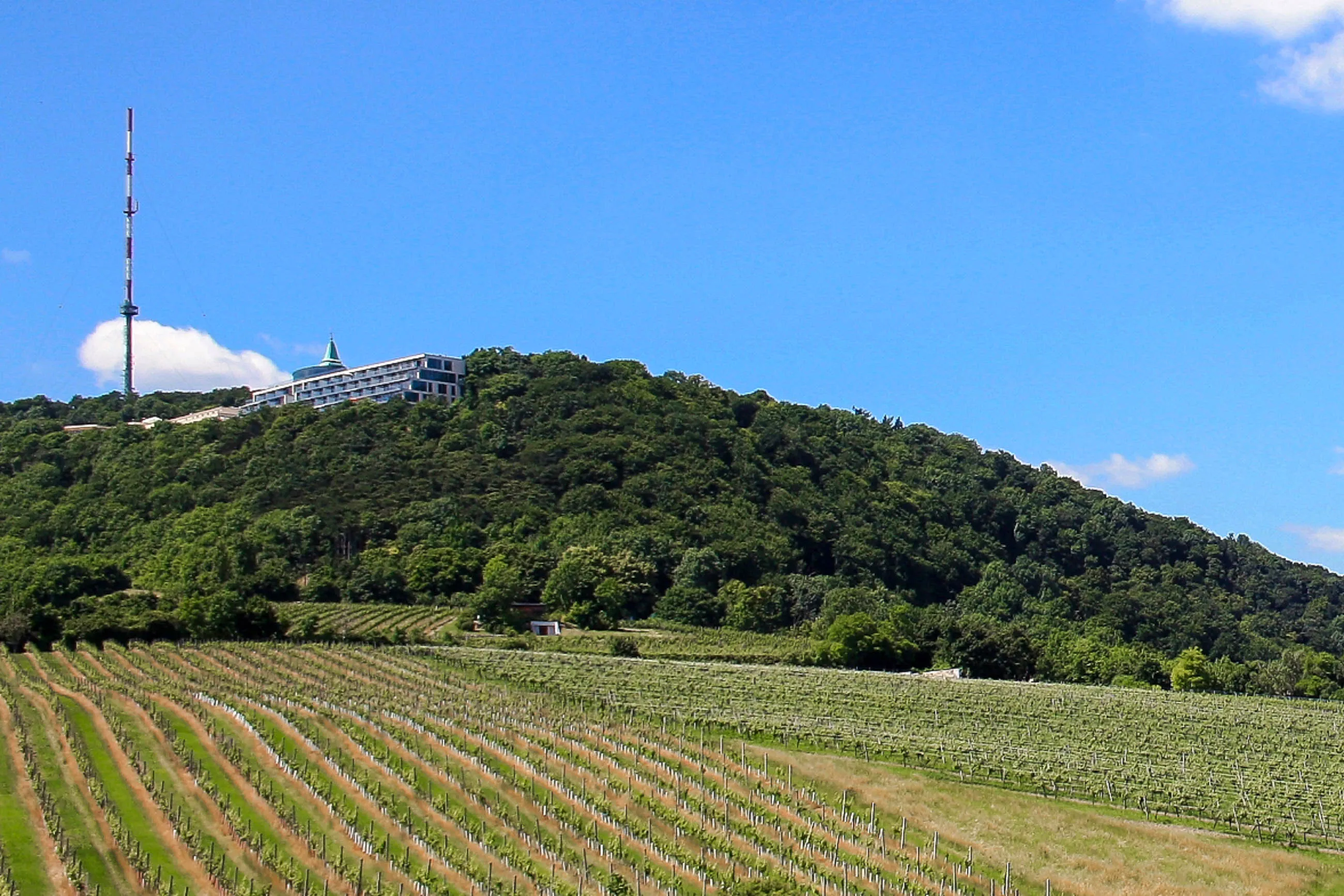 Kahlenberg in Austria, Europe | Mountains - Rated 4