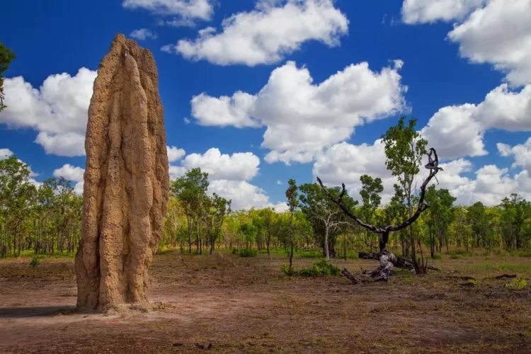 Kakadu National Park in Australia, Australia and Oceania | Parks - Rated 3.7