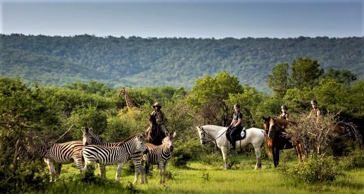 Kaskazi horse safaris in Tanzania, Africa | Horseback Riding - Rated 0.9