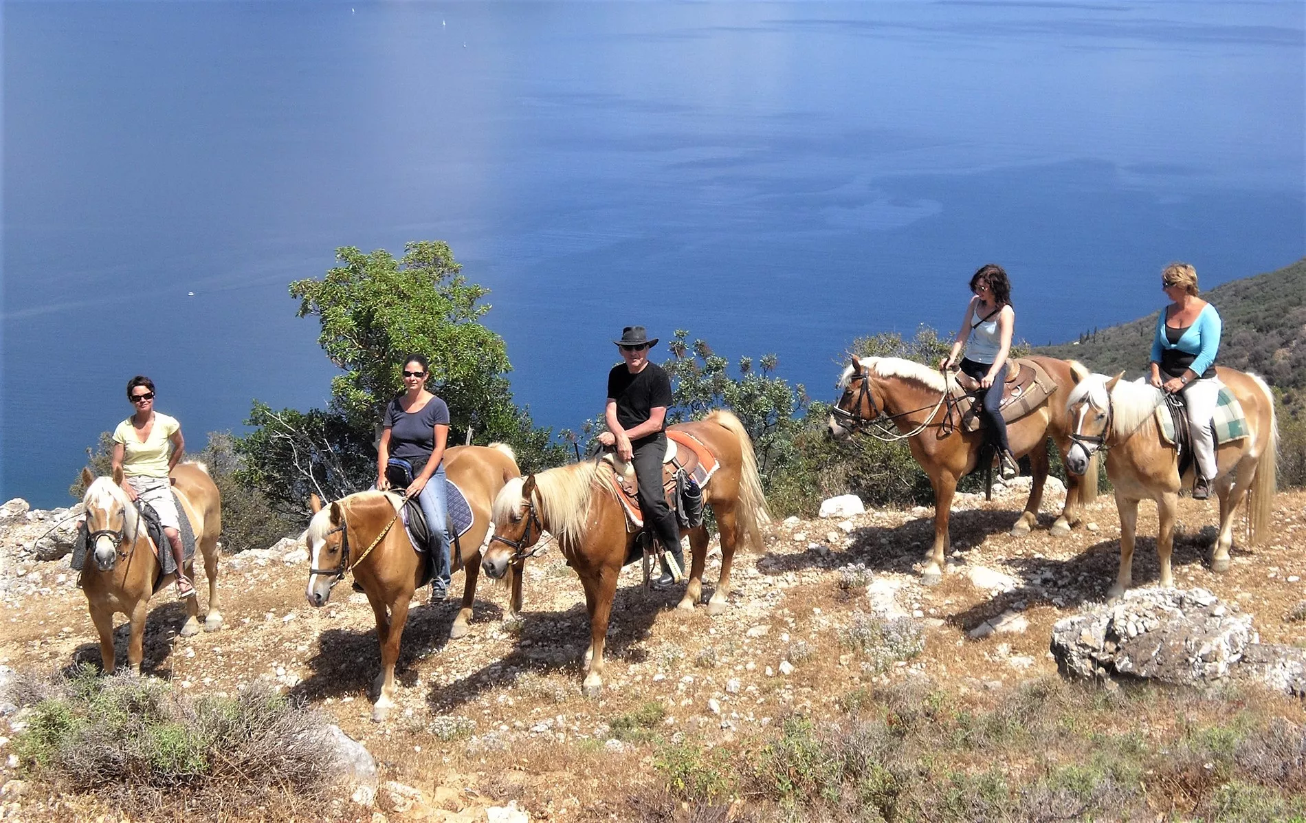 Kefalonia Horse Riding Stable in Greece, Europe | Horseback Riding - Rated 1