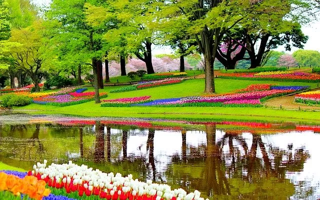 Keukenhof Flower Park in Netherlands, Europe | Parks,Gardens - Rated 5.6