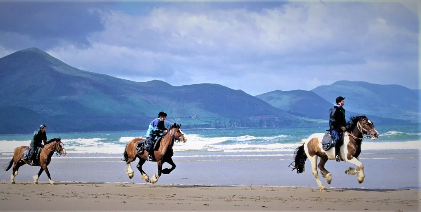 Killarney Riding Stables in Ireland, Europe | Horseback Riding - Rated 4.3