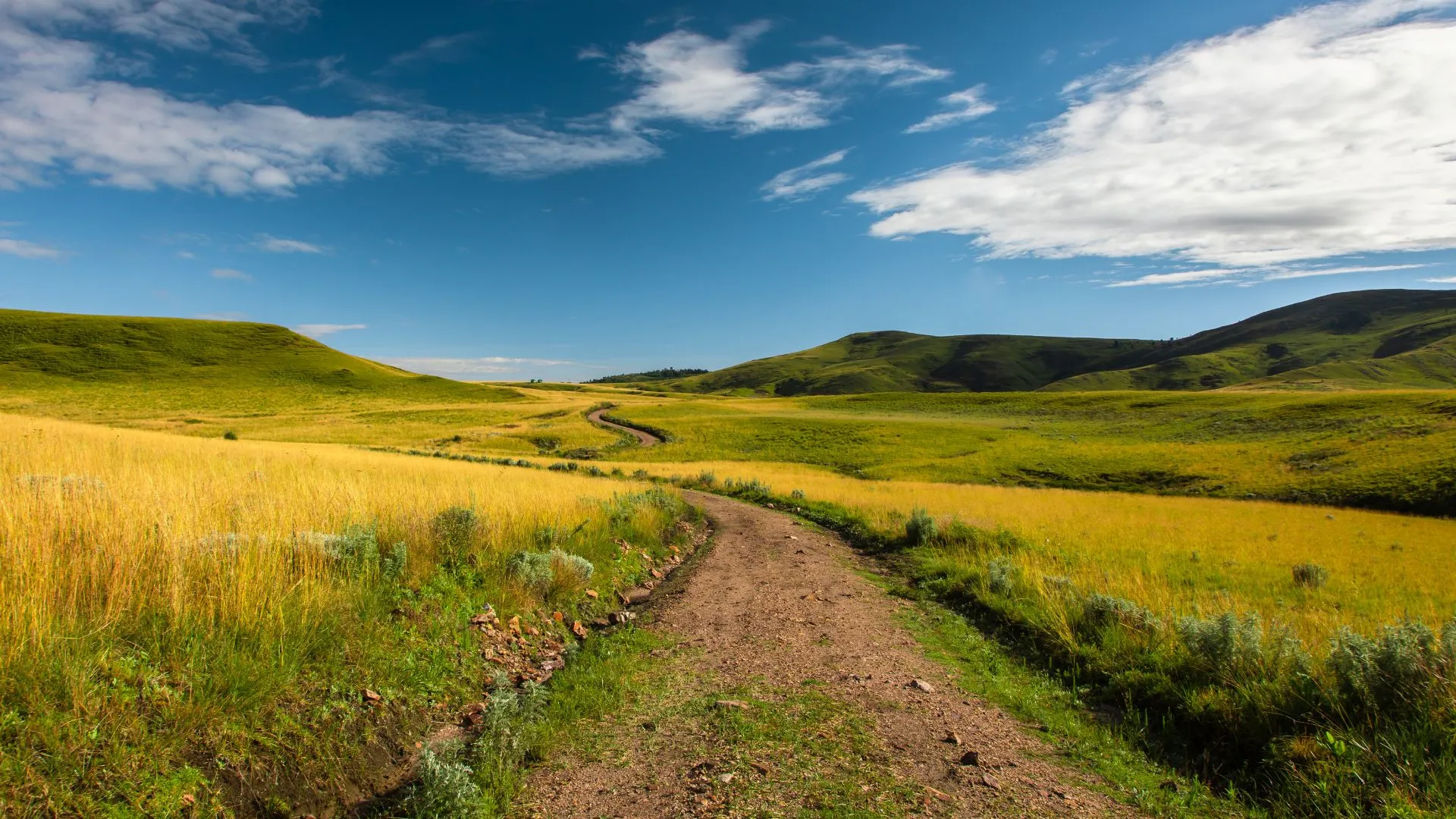 Kitulo National Park in Tanzania, Africa | Parks,Trekking & Hiking - Rated 0.8