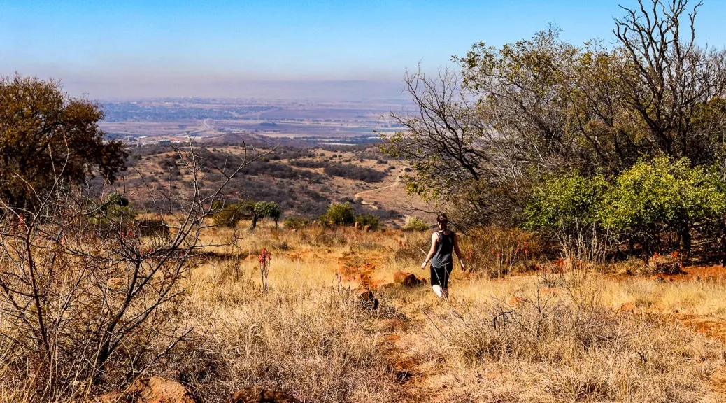Klipriviersberg Nature Reserve in South Africa, Africa | Nature Reserves,Trekking & Hiking - Rated 3.7