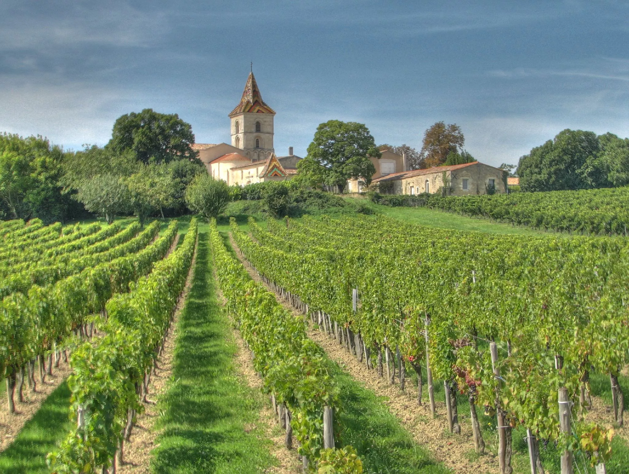 Knaps Vineyard in Poland, Europe | Wineries - Rated 0.9