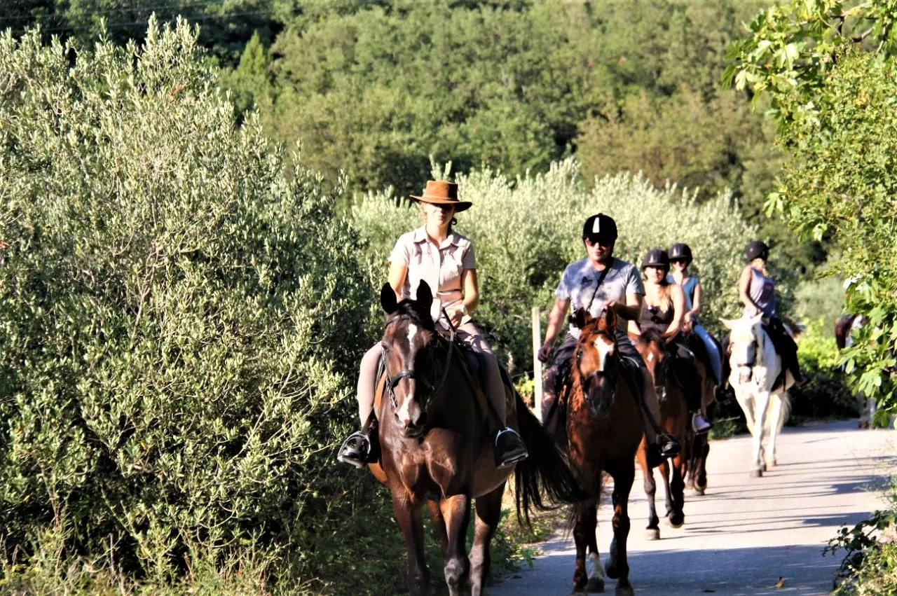 Kojan Koral in Croatia, Europe | Horseback Riding - Rated 1.1
