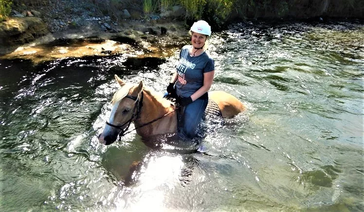 Korohe Horse Treks in New Zealand, Australia and Oceania | Horseback Riding - Rated 1.1