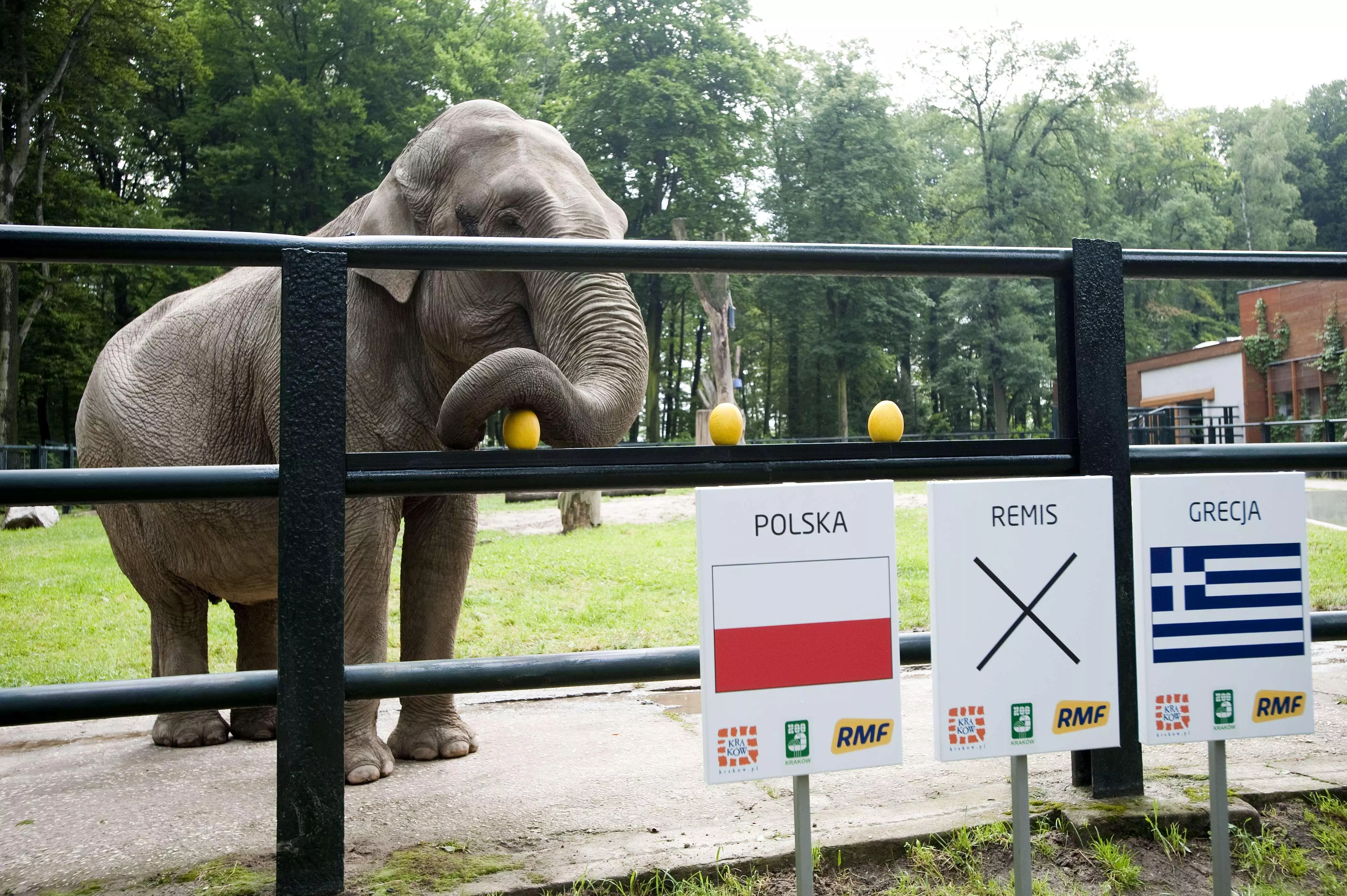 Krakow Zoo in Poland, Europe | Zoos & Sanctuaries - Rated 4.9