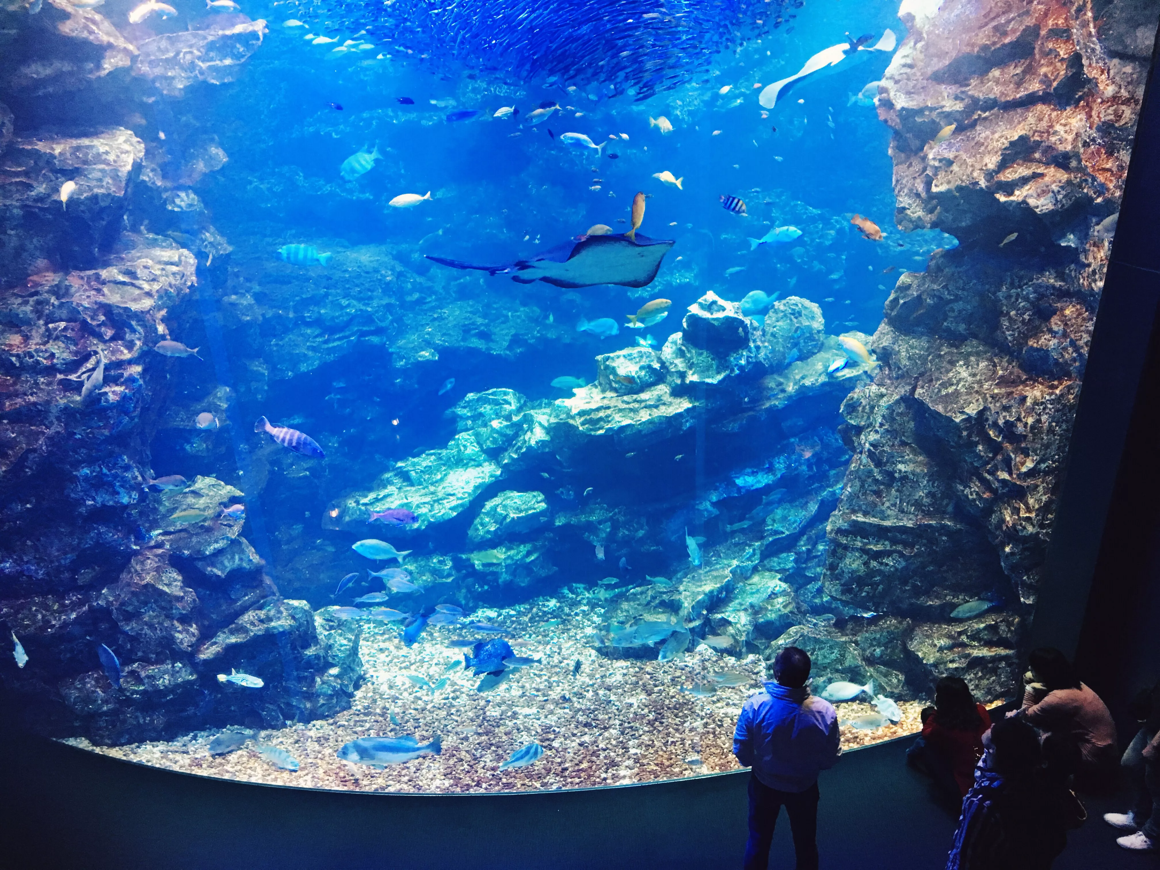 Kyoto Aquarium in Japan, East Asia | Aquariums & Oceanariums - Rated 4.2